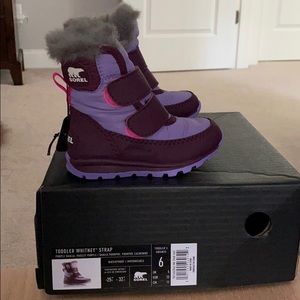 Sorel Whitney Strap toddler boot NWT
